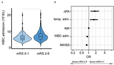 Association of White Blood Cell Count With Clinical Outcome Independent of Treatment With Alteplase in Acute Ischemic Stroke